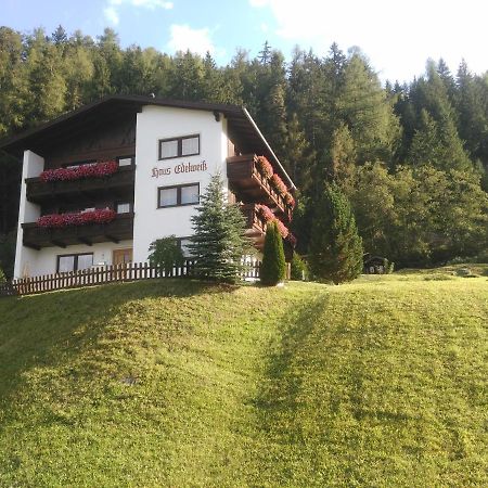 イェルツェンス Haus Edelweiss Bed & Breakfast エクステリア 写真