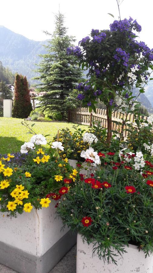 イェルツェンス Haus Edelweiss Bed & Breakfast エクステリア 写真