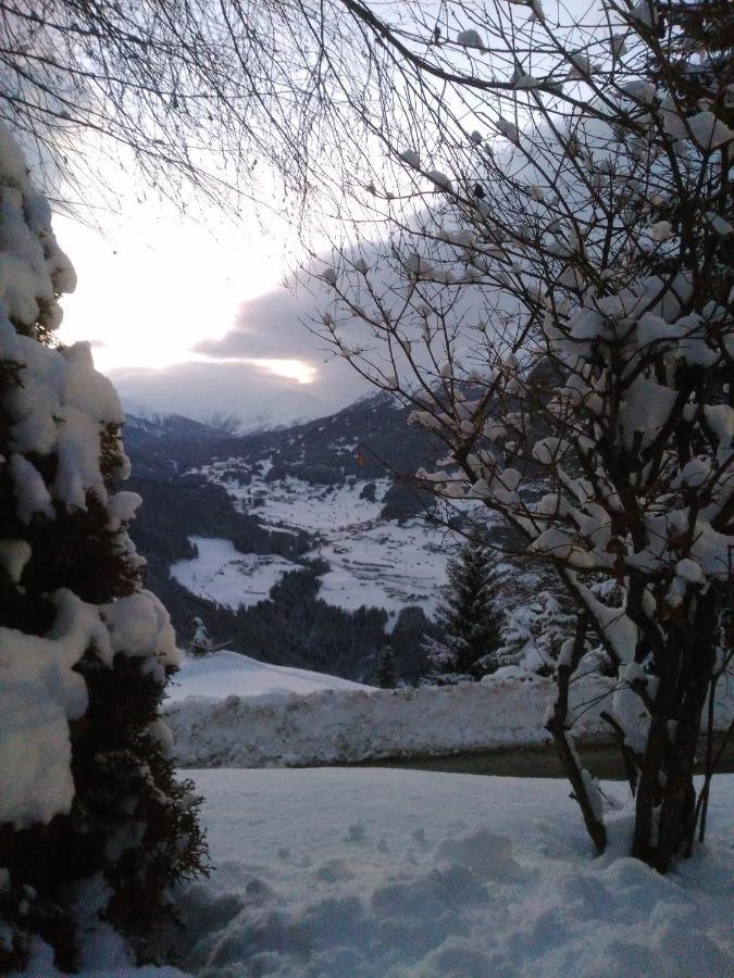 イェルツェンス Haus Edelweiss Bed & Breakfast エクステリア 写真